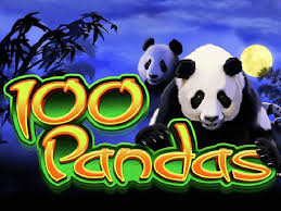 100-Pandas-AVP